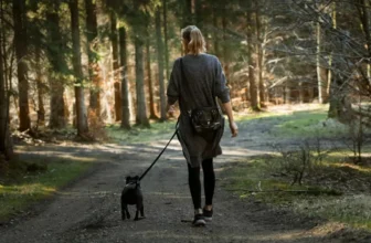Is It Possible to Meditate While Walking?